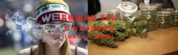 стаф Мегион