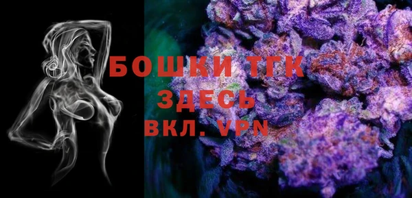 стаф Мегион